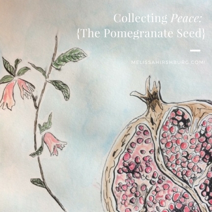 pomegranate-seed-2